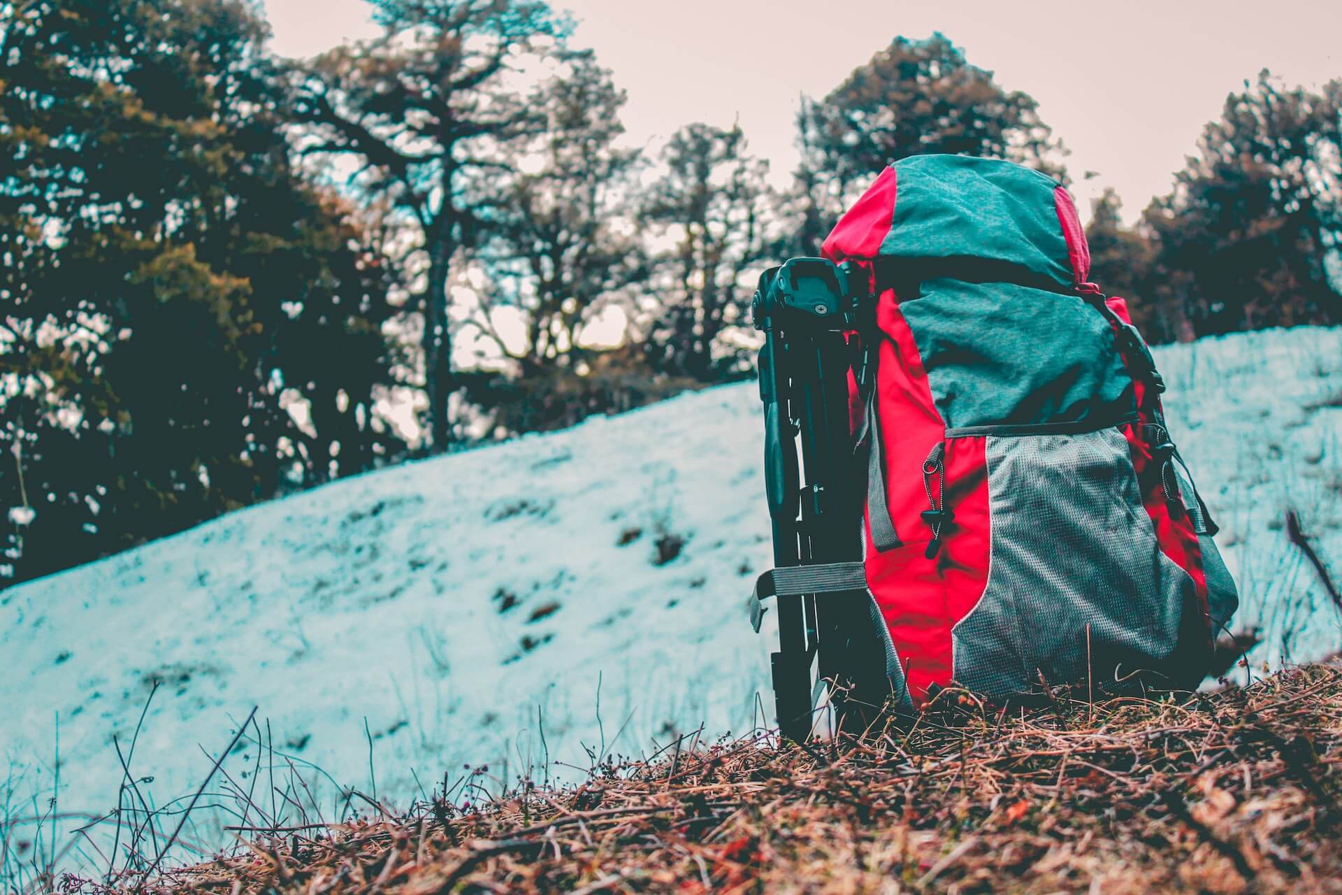 Bags & backpacks