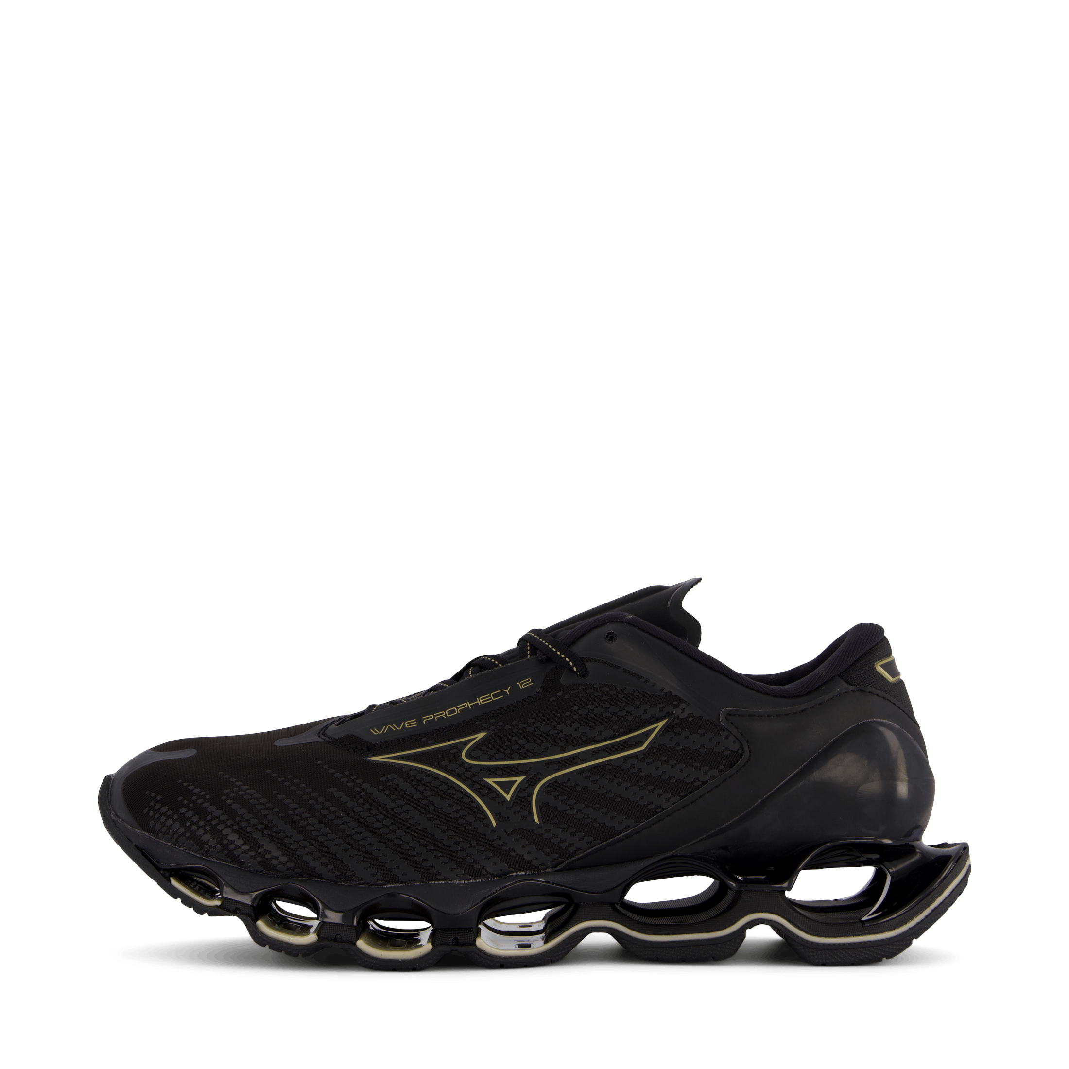 Mizuno wave prophecy 12 best sale