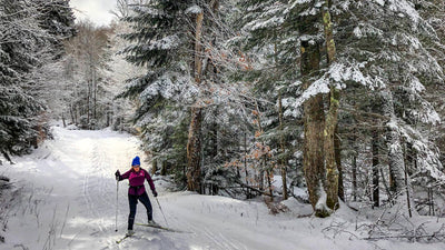 Cross-Country Skiing  - Racketnow.com