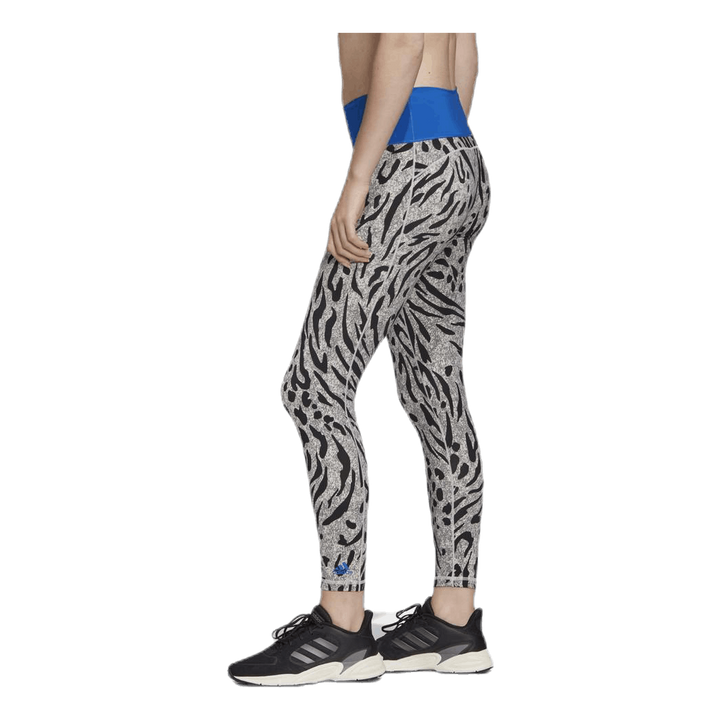 Believe This Tight P Blue/Grey