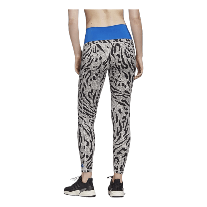 Believe This Tight P Blue/Grey