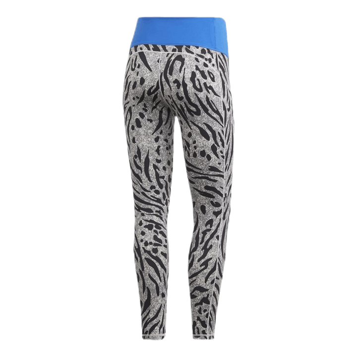 Believe This Tight P Blue/Grey