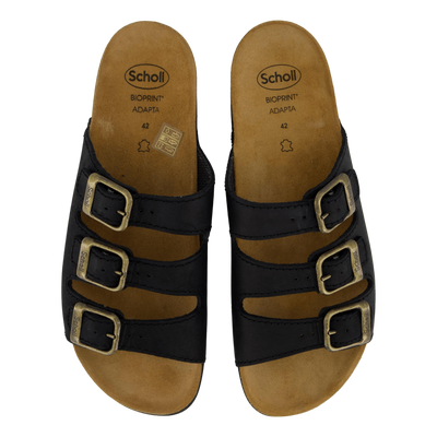 Rio AD Black