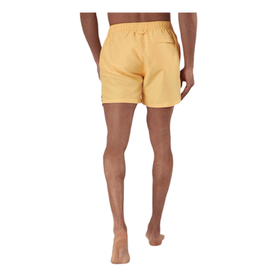 Classic Solid Yellow