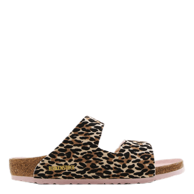Arizona Kids Patterned