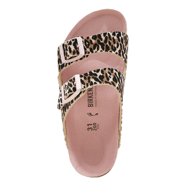 Arizona Kids Patterned