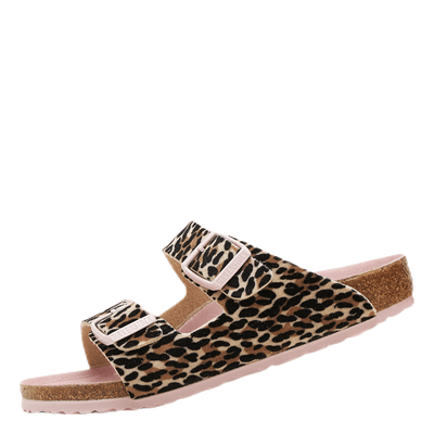 Arizona Kids Patterned