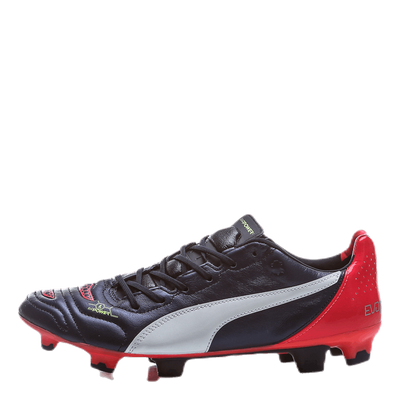 EvoPower 1.2 Leather FG Purple