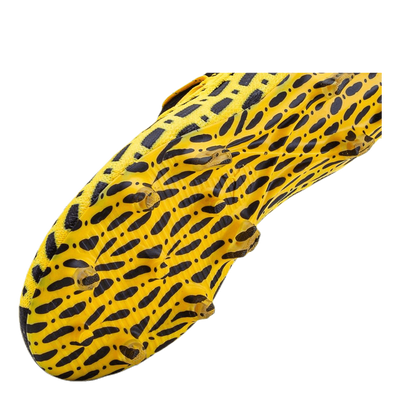 Future 5.1 Netfit FG/AG Junior Black/Yellow