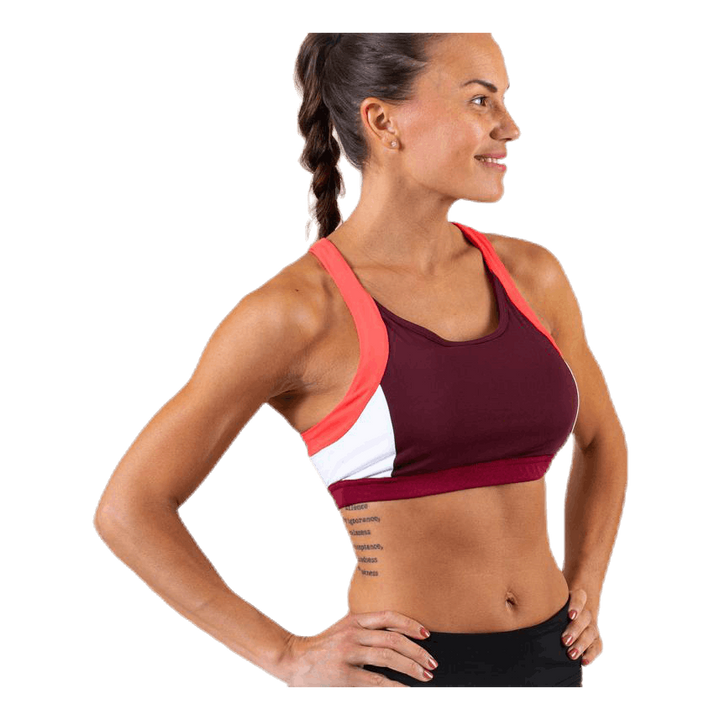 Color Block Bra 2 Pink/Red