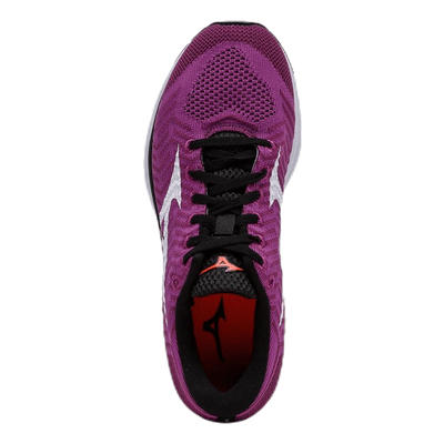 Wave Rider WK Purple