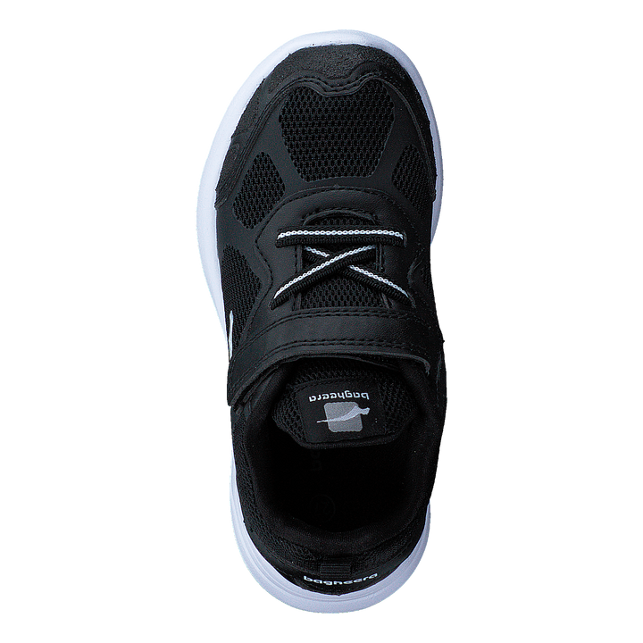 Moxie Black/white