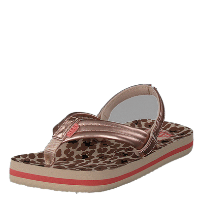 Little Ahi Cheetah