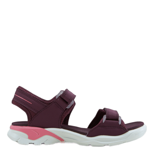 Ecco online offroad aubergine