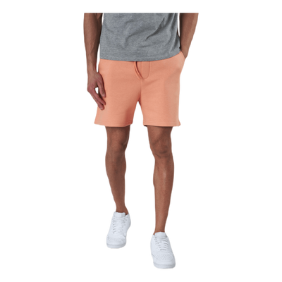 Brink Sweat Shorts Gms Red