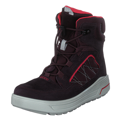 Ecco Urban Snowboarder Fig/teaberry