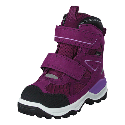 Ecco Snow Mountain Black/dark Purple/dark Purple