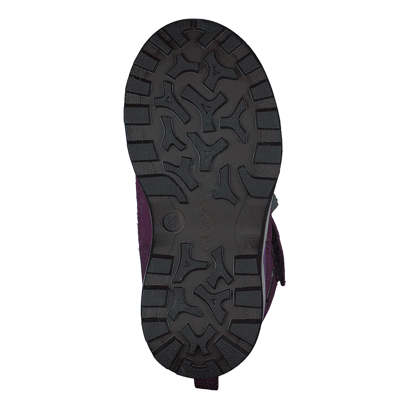Ecco Snow Mountain Black/dark Purple/dark Purple