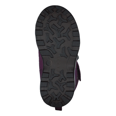 Ecco Snow Mountain Black/dark Purple/dark Purple
