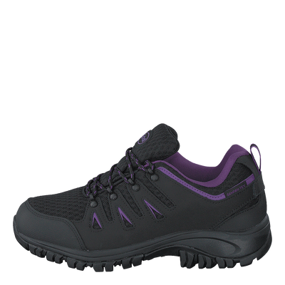 Havang 4.0 Black/purple