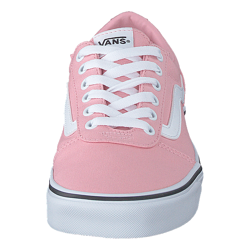 Wm Ward (canvas) Powder Pink/white Vans – - Main Image