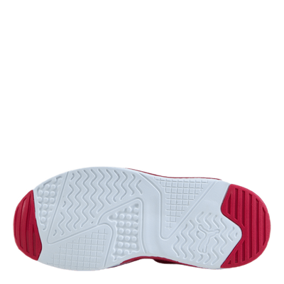 X-ray 2 Square Ac Ps Persian Red-puma White-paradis
