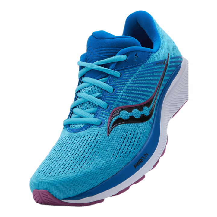 Guide 14 Blue Blaze/berry