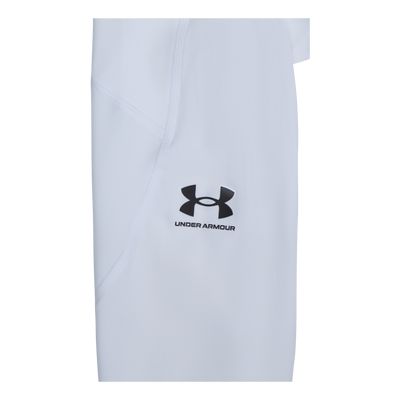 UA HG Armour Leggings