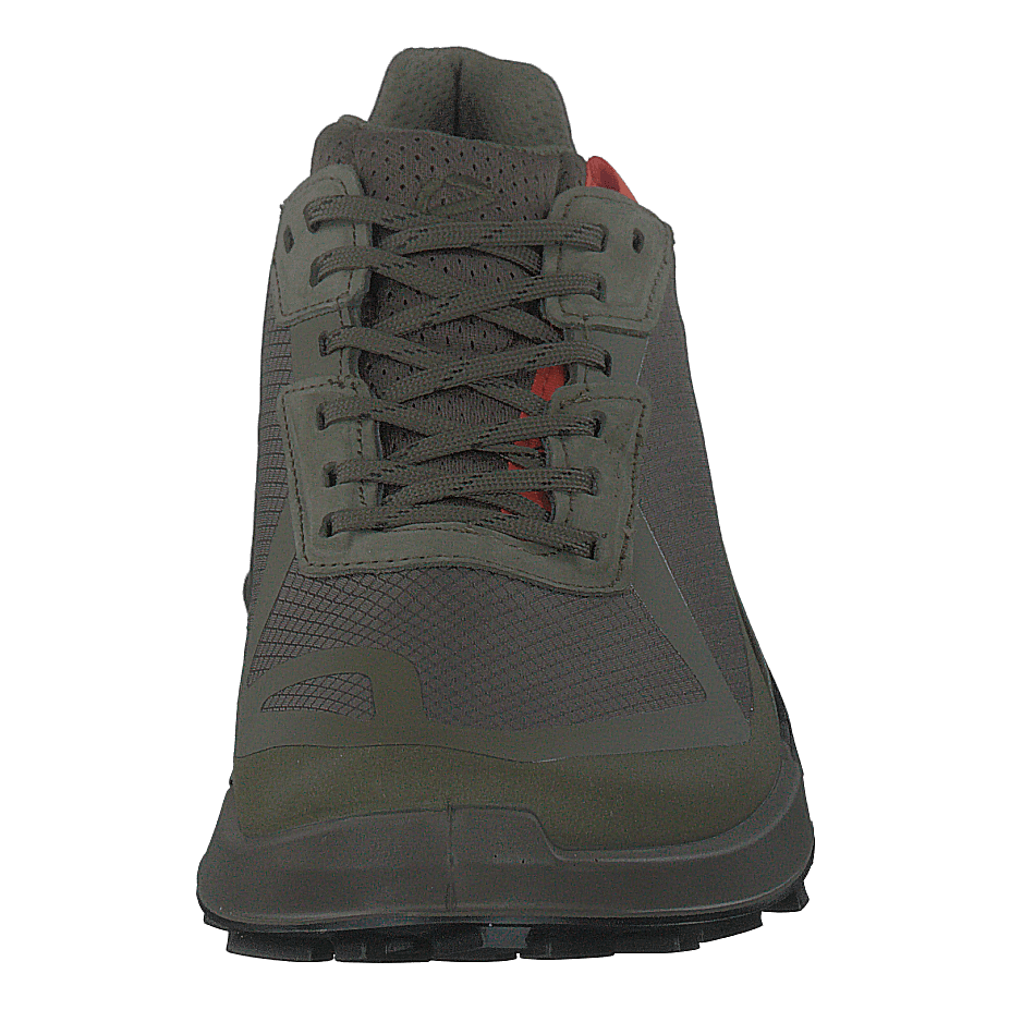 Ecco Biom 2.1 X Country M Tarmac/grape Leaf