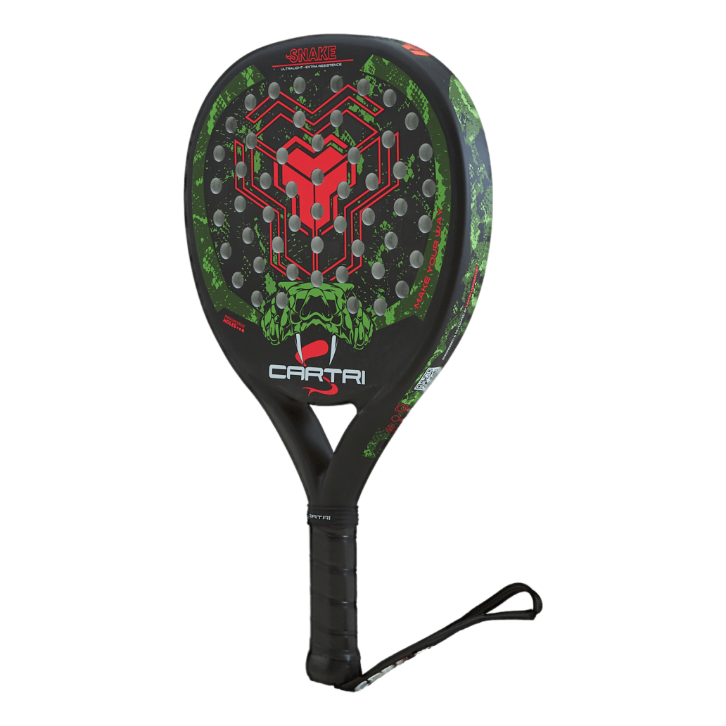 Snake Black/green/red