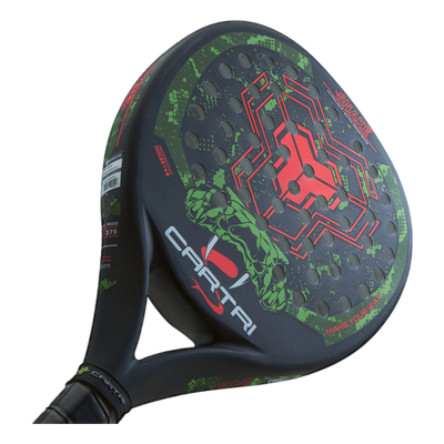 Snake Black/green/red