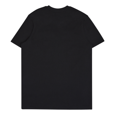CURRY GRADIENT HVYWEIGHT SS