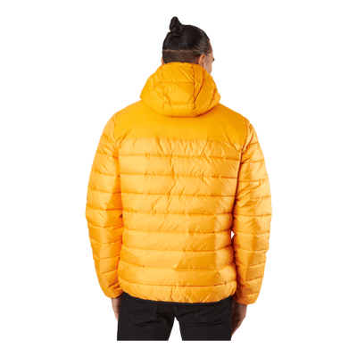 Hooded Jacket Ys113