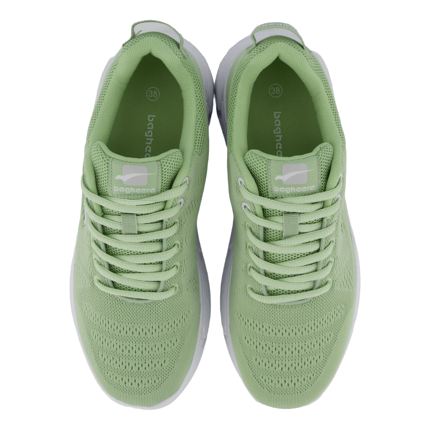 Eclipse Olive/white