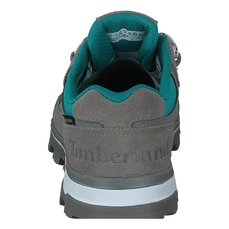 trail trekker low gtx