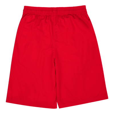 UA Perimeter 11'' Short