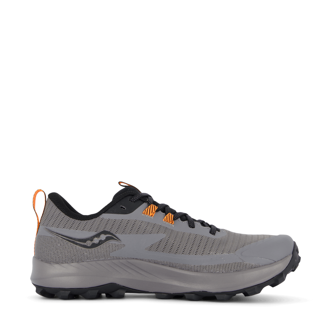 Peregrine 13 Gtx Gravel/black