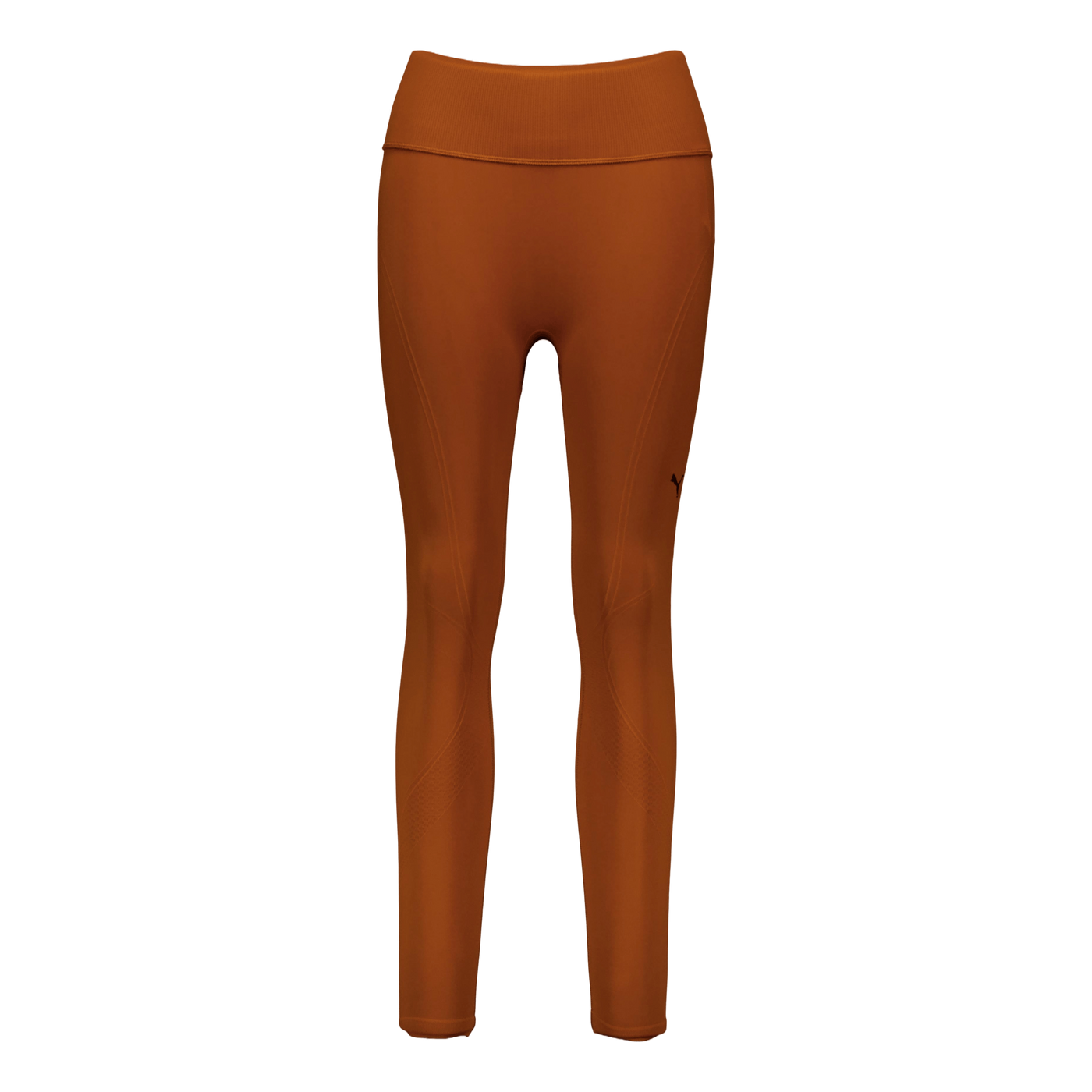 Shapeluxe Seamless Hw Fl Tight Teak