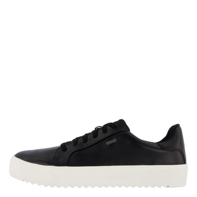 Rex Turin Gtx Black