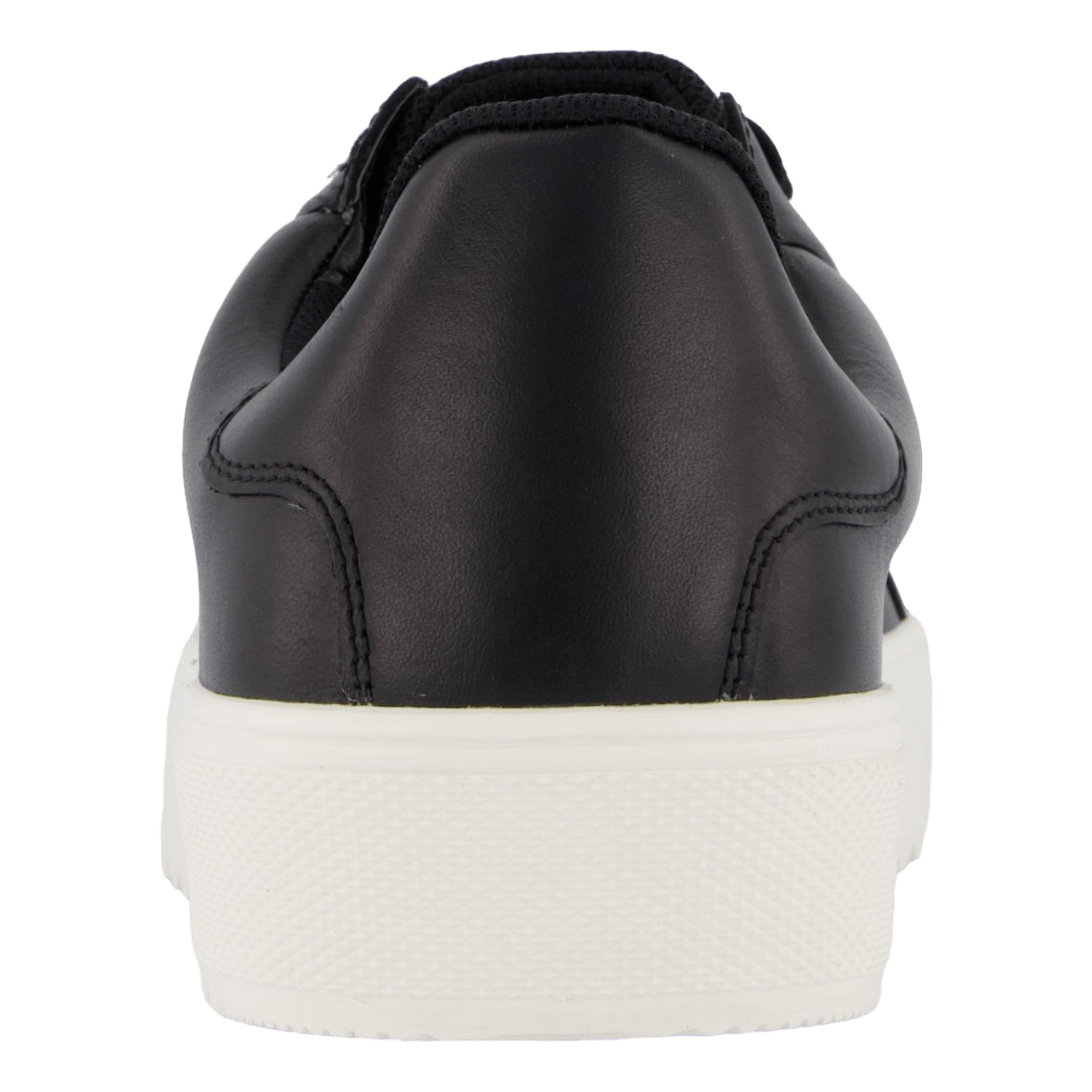 Rex Turin Gtx Black