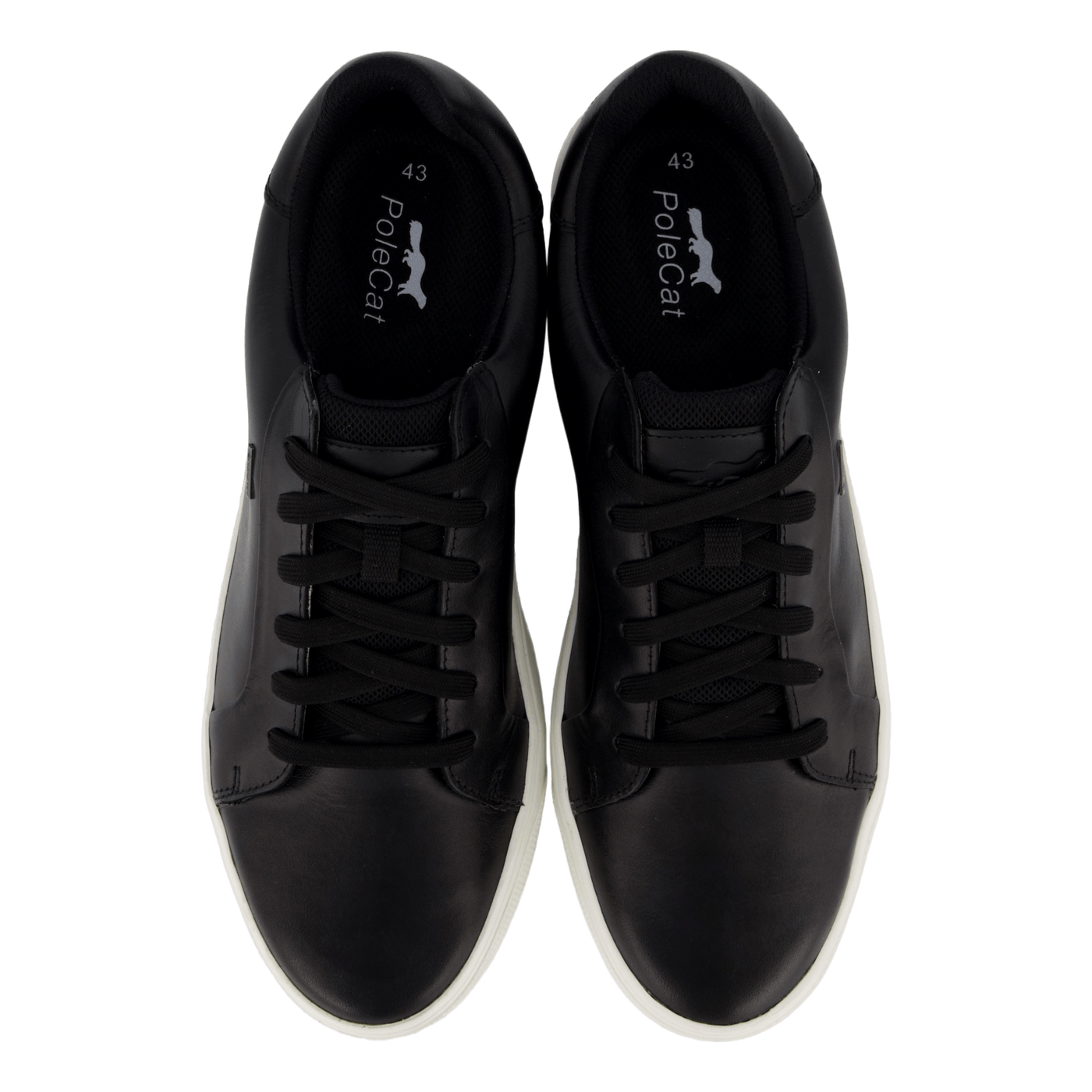Rex Turin Gtx Black