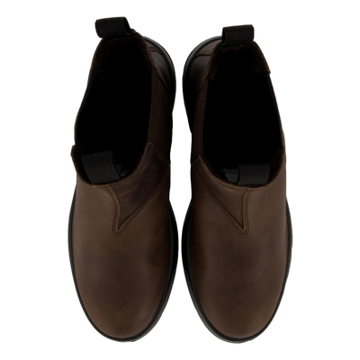 Camel Picadilly Gtx
