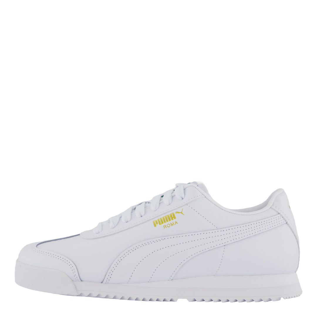 Roma 24 Standard White –