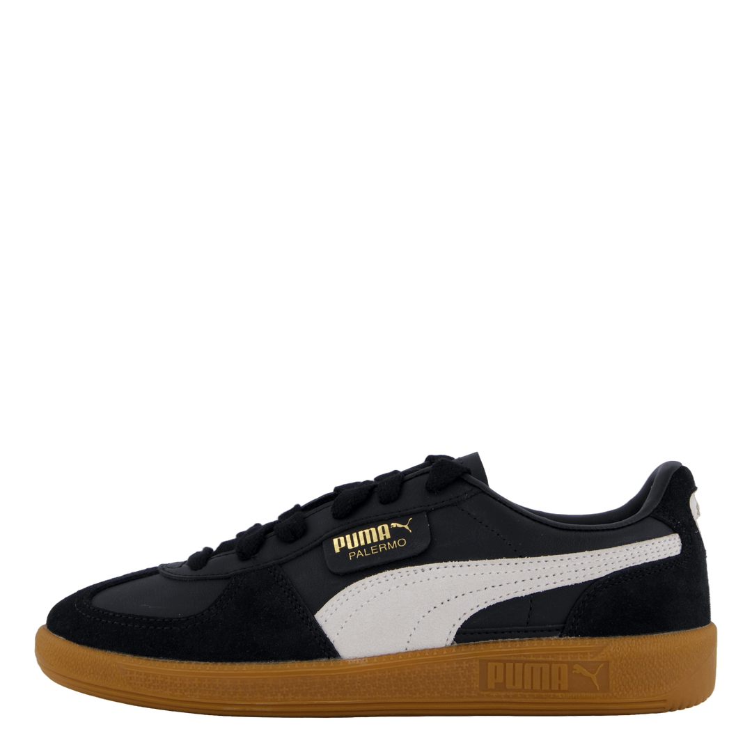 Palermo Black-feather Gray-gum