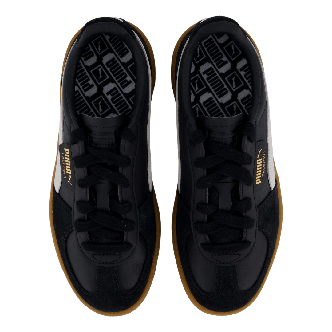 Palermo Black-feather Gray-gum