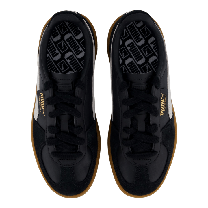Palermo Black-feather Gray-gum