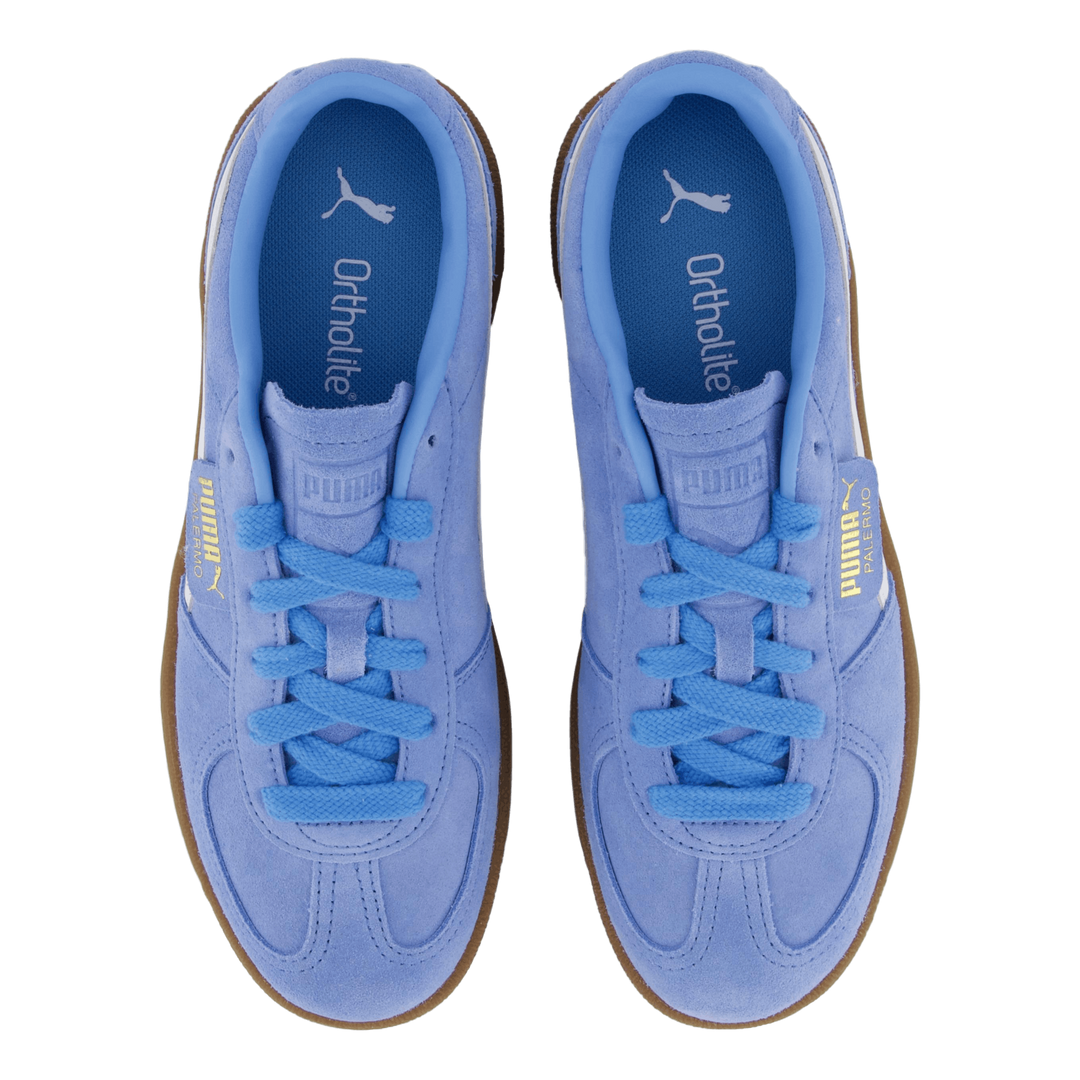 Palermo Team Light Blue- White