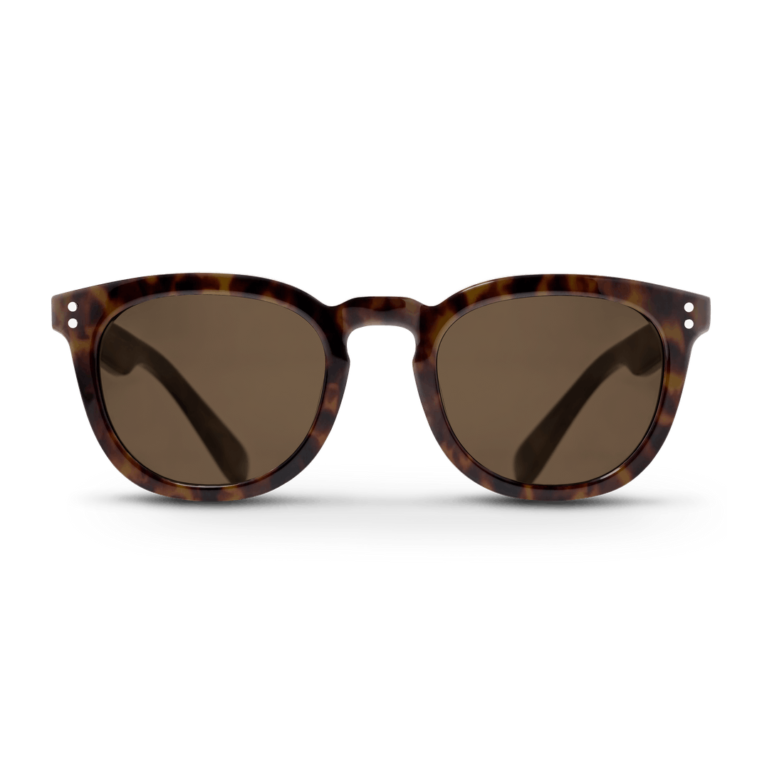 Havana Harald