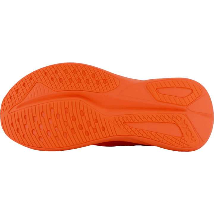 W mach 7 Bell pepper / bell pepper