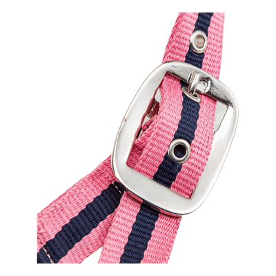 Pony Pals Halter Blue/Pink